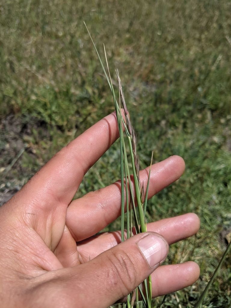 California Central Coast