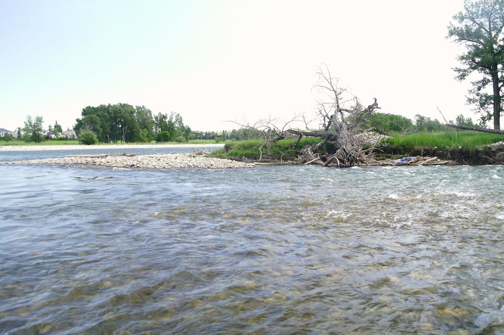 Aspen Parkland/Northern Glaciated Plains
