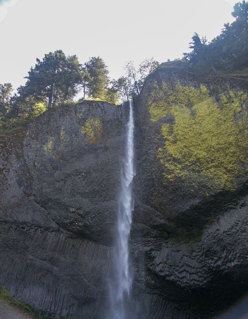 Central American Sierra Madre with Conifer, Oak, and Mixed Forests