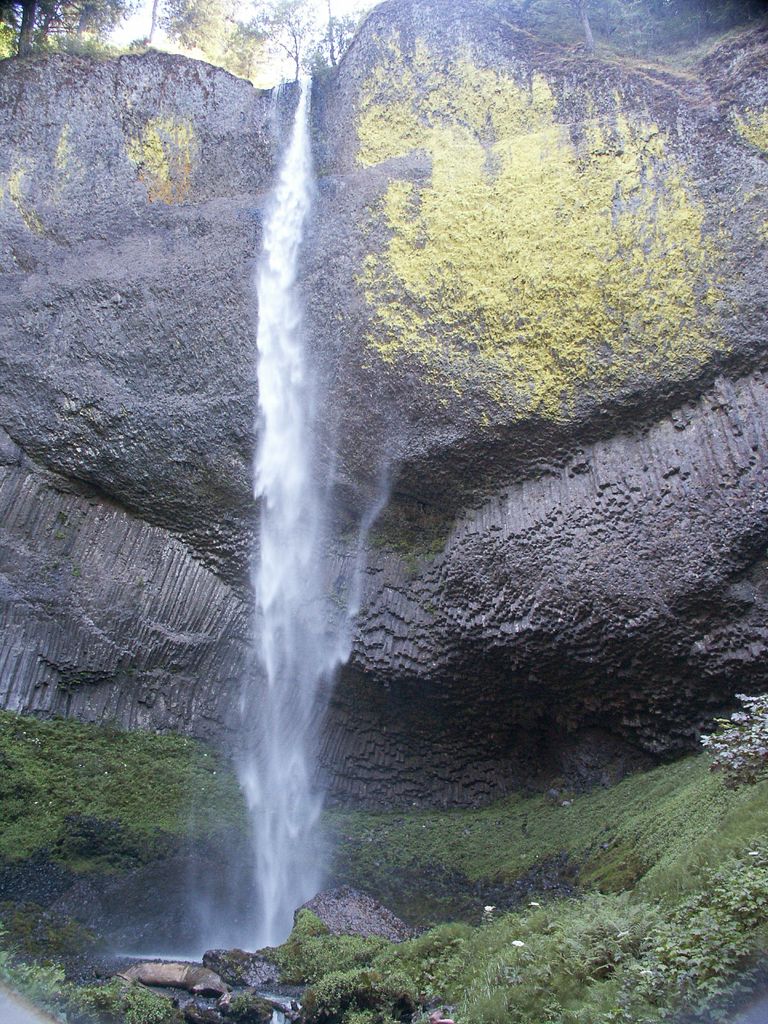 Chiapas Highlands with Conifer, Oak, and Mixed Forest