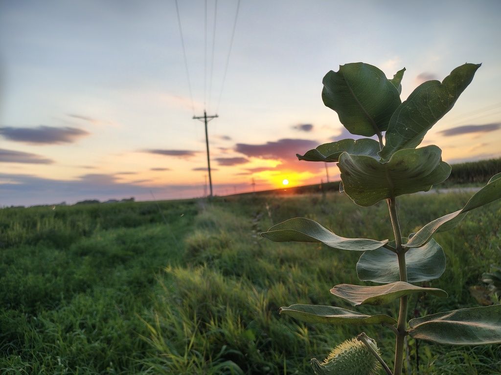 Central Great Plains