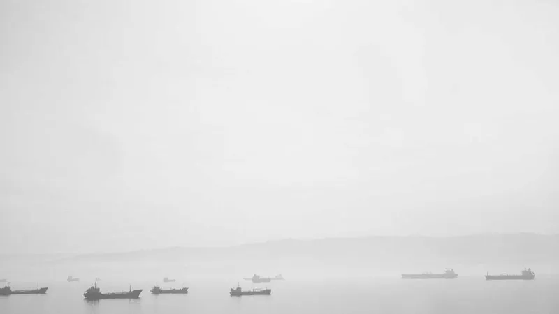 ما هي الزراعة المائية ولماذا هي مستقبل الزراعة؟