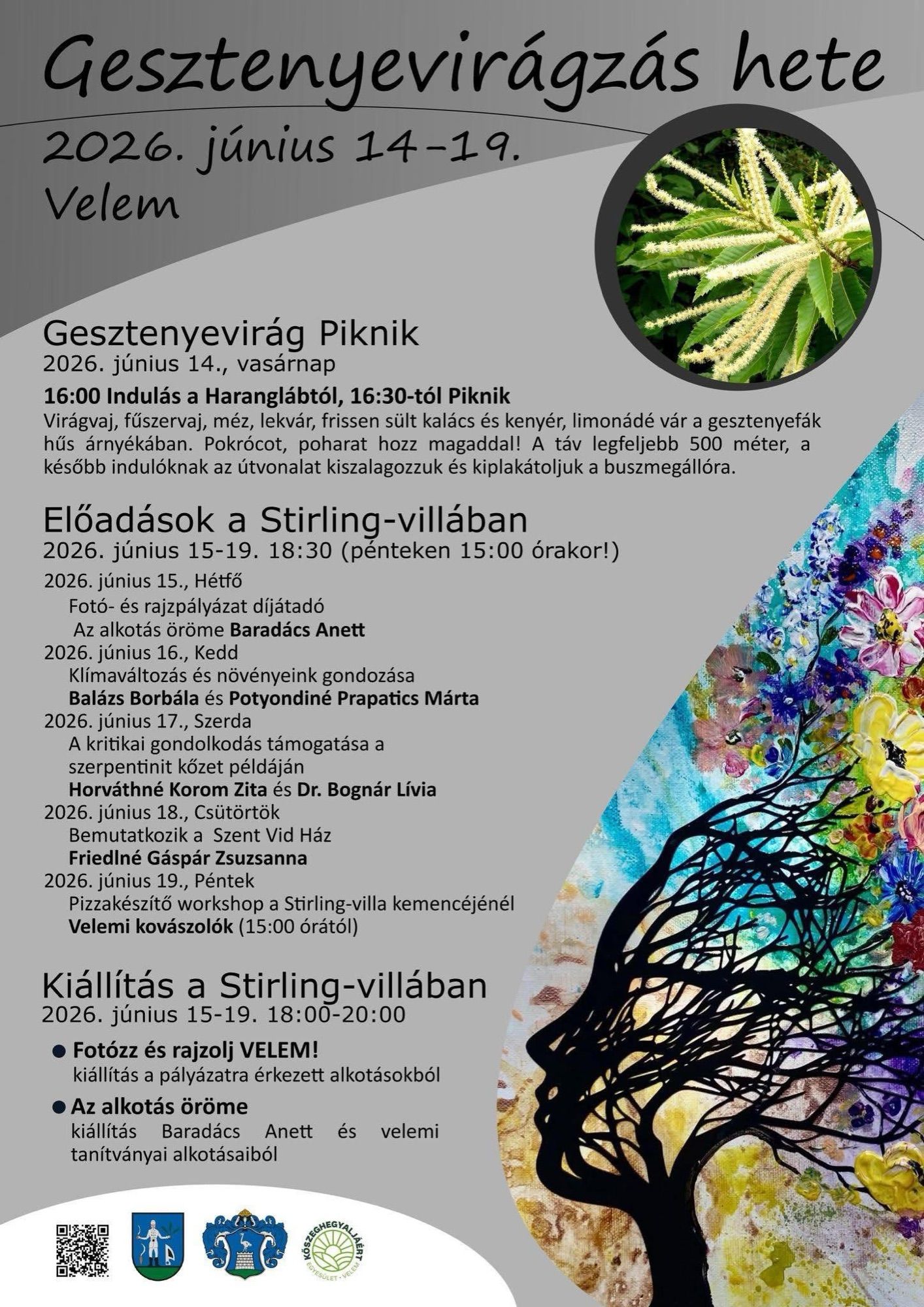 11. Gesztenyevirágzás hete Velemben – 2. kép
