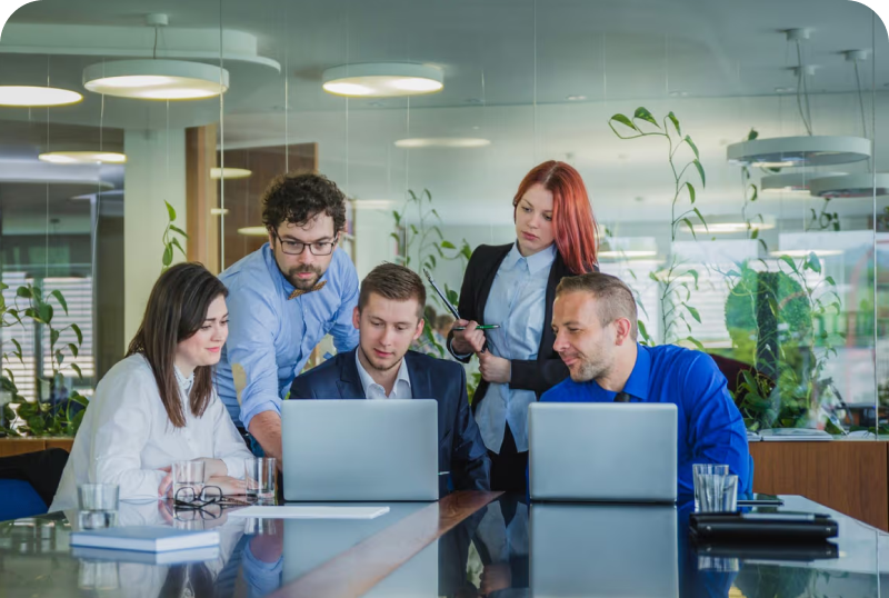 Technology Partner