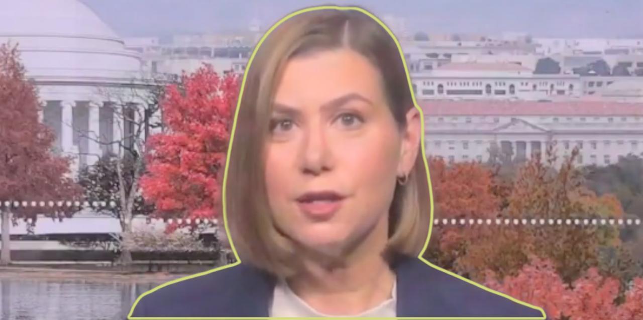 Elissa Slotkin on MS NOW