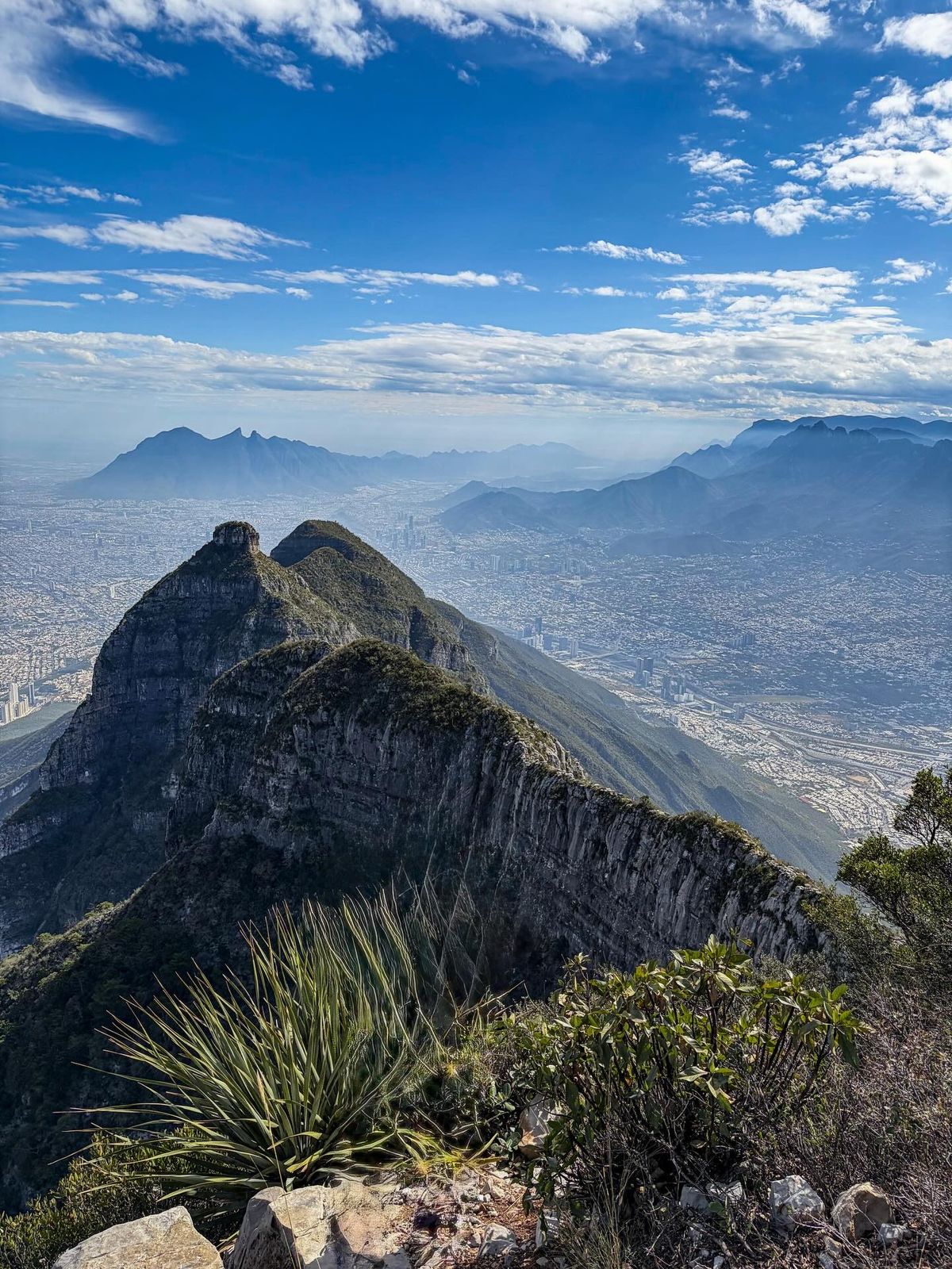 Pico Perico