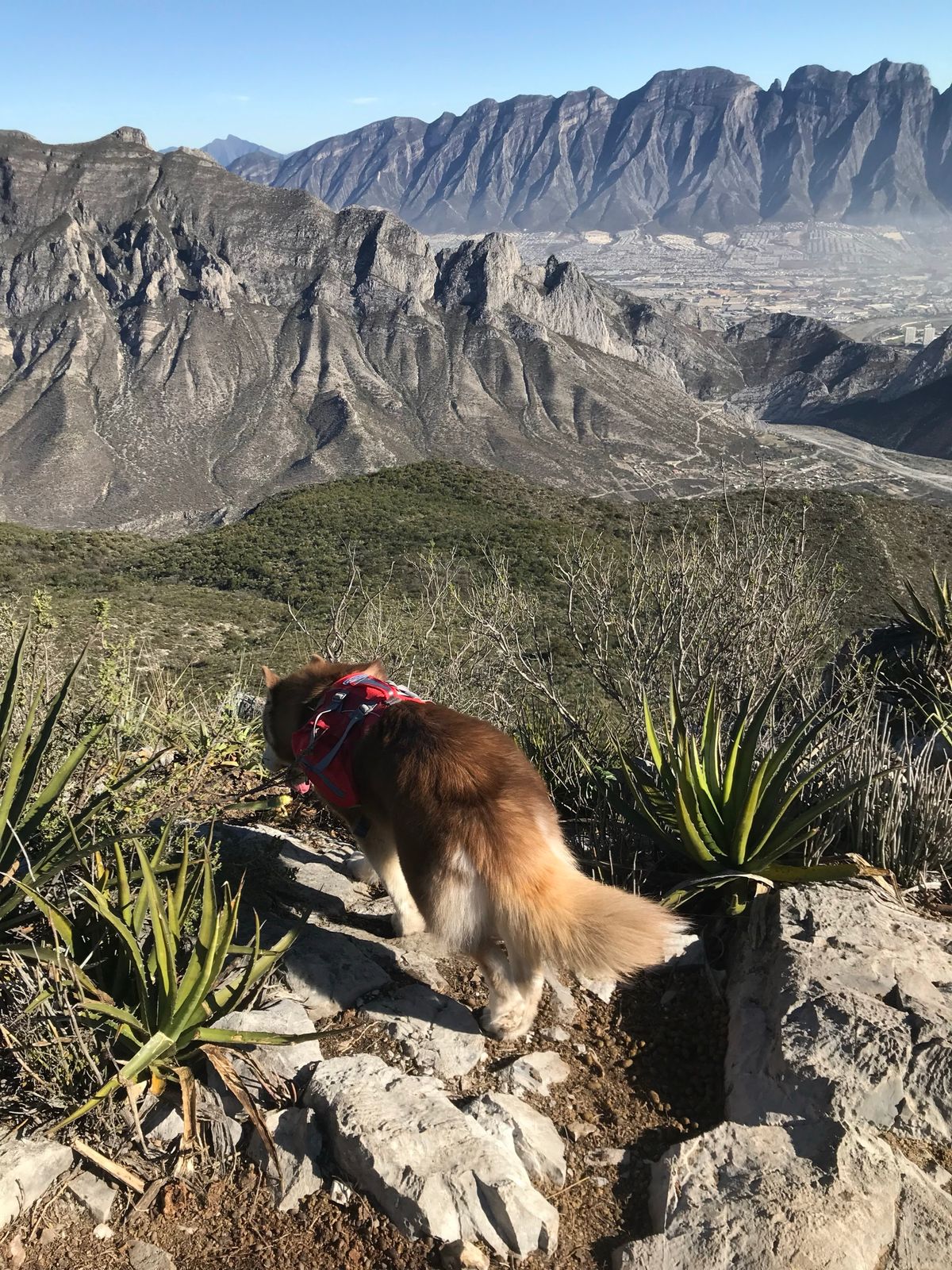 Pico Horcones 4