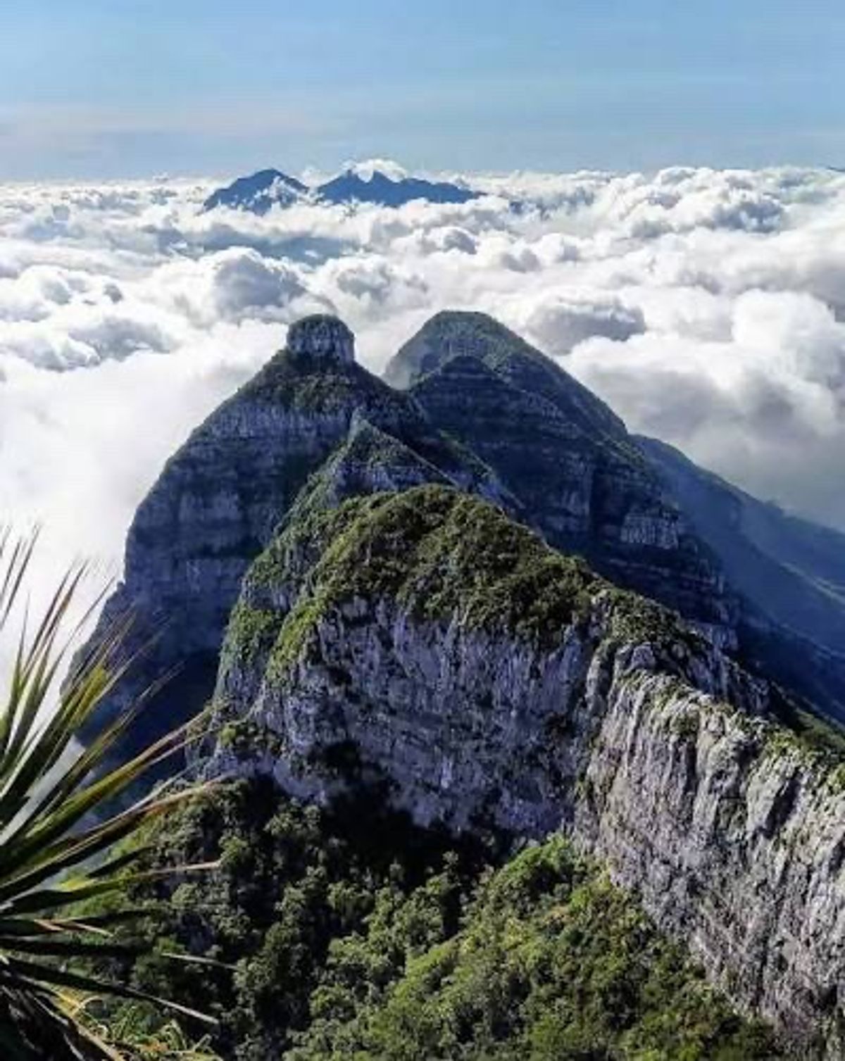 Pico Perico 4