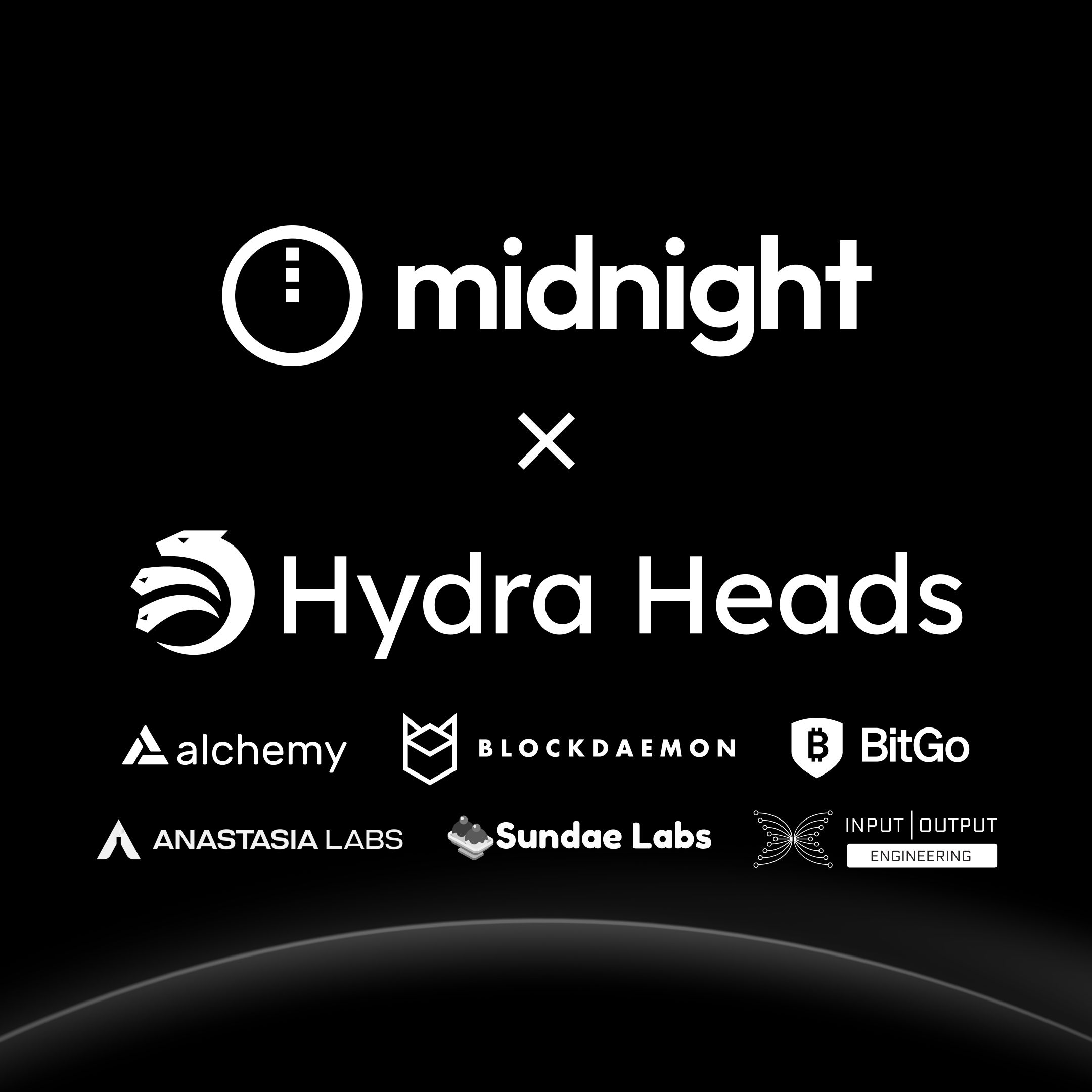 Midnight Blog | Meet the ecosystem partners operating Hydra Heads