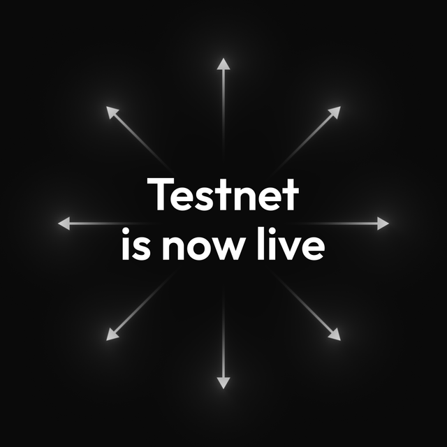 Midnight testnet