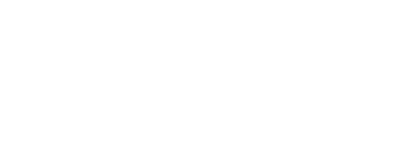 Eyvi logo
