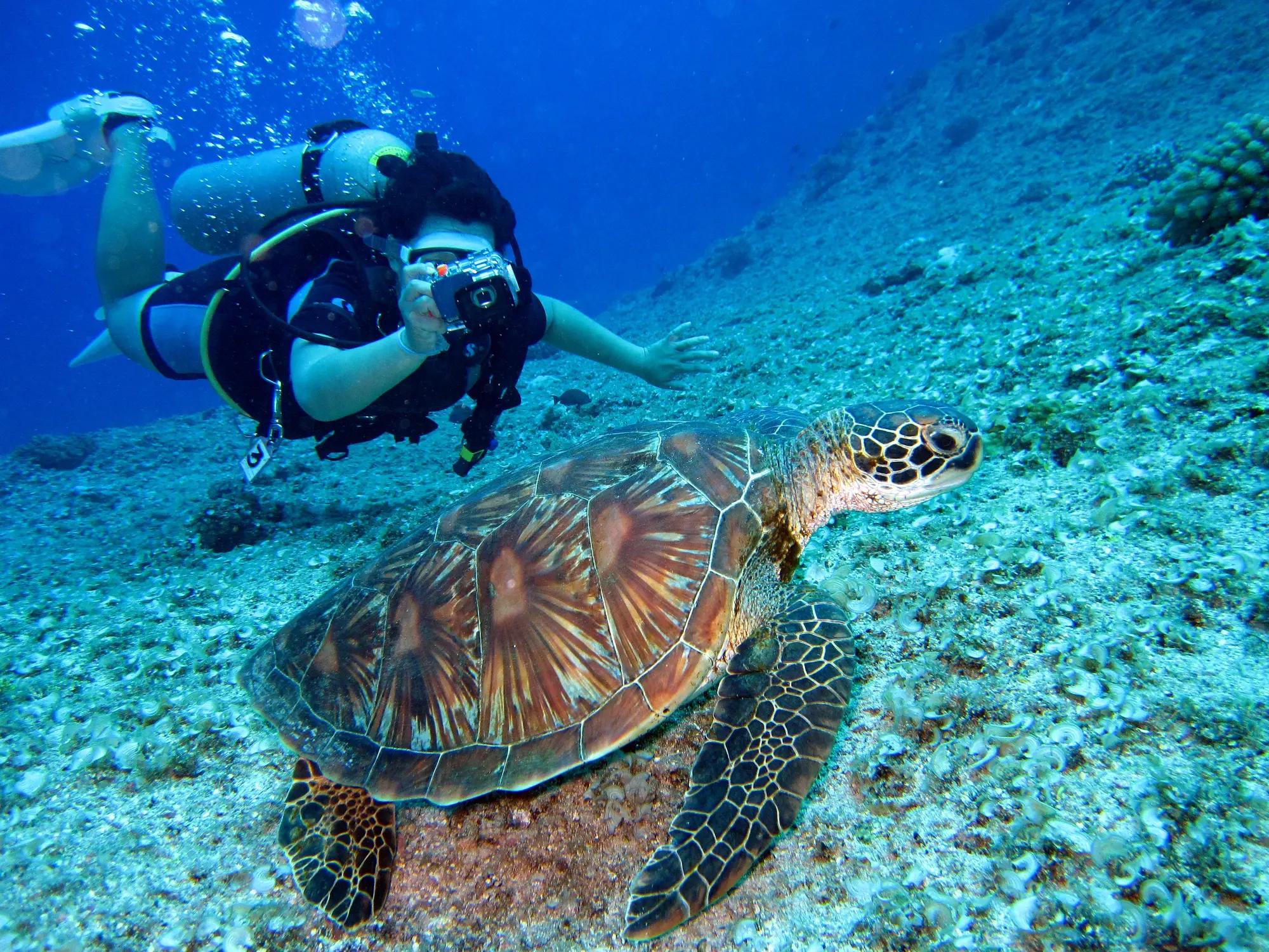 Is Scuba Diving Safe? Understanding the Real Risks