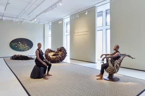 Nandipha Mntambo - Transcending Instinct