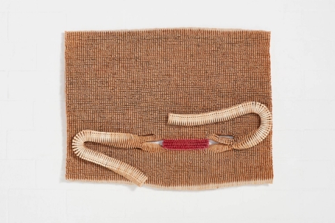 Tip of the Tongue, 2024 - Usha Seejarim