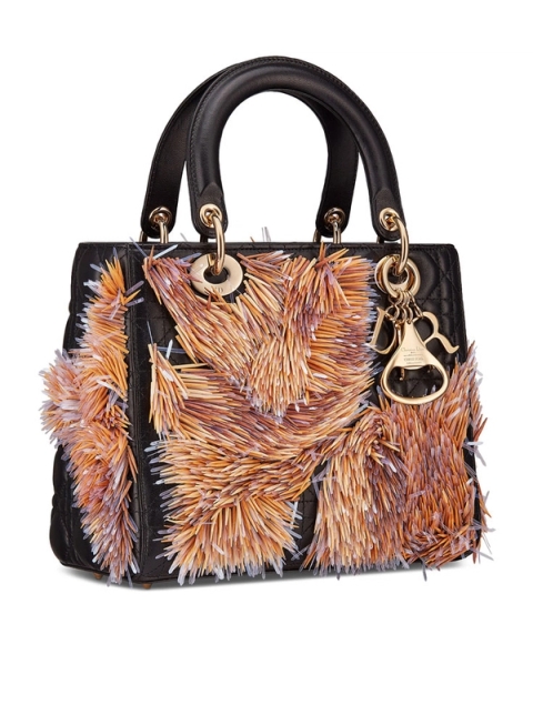 Chris Soal reinterprets the iconic Lady Dior bag