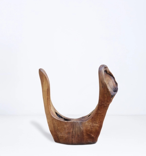 Adam Birch - Ocelot, 2021