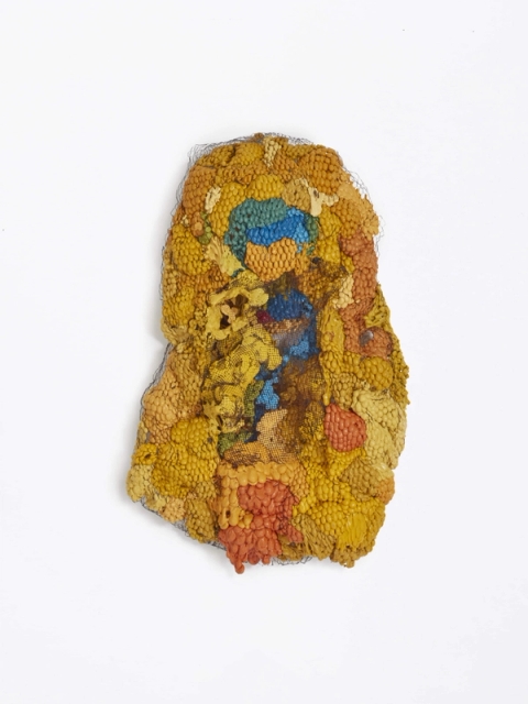 Julio Rizhi - What is on the Inside V, 2022