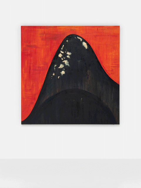 Lightworkers I, 2025 - Nandipha Mntambo