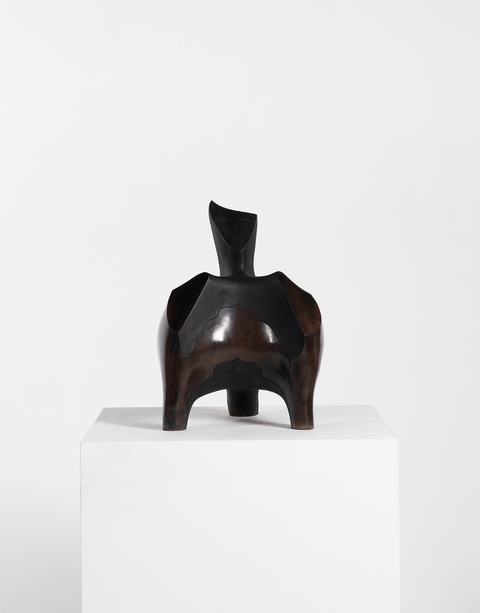 Sigonyela (the Fighter), 2025 - Madoda Fani