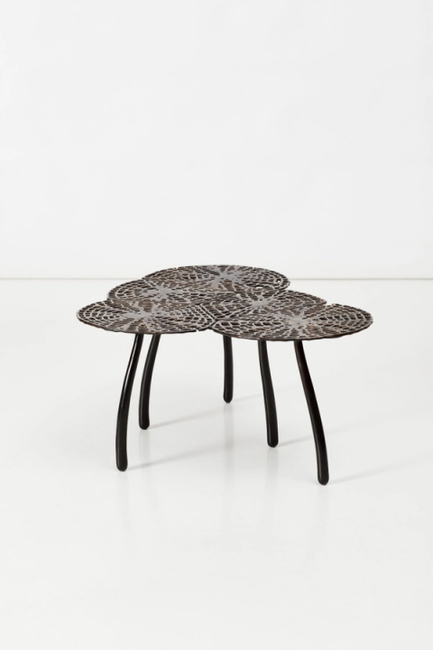 Charles Haupt - Tropism Mensa Foliorum, 2018