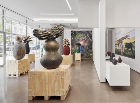 Zizipho Poswa - iiNtsika zeSizwe (Pillars of the Nation)