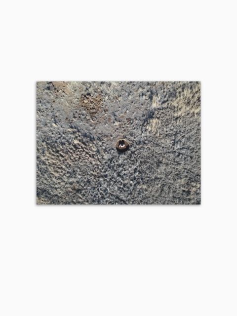 Christine Jacobs - We Are Guests Here, 2023