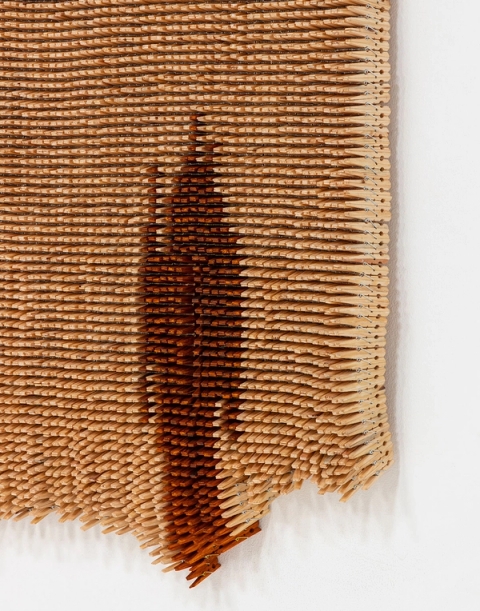 A Persistent Wound, 2025 - Usha Seejarim