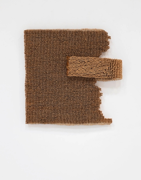 An Unconcealed Truth, 2019 - Usha Seejarim