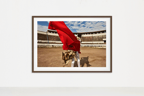 Praça de Touros V, 2008 - Nandipha Mntambo