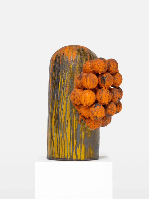 iSizukulwane soNdlovu, 2026 - Zizipho Poswa