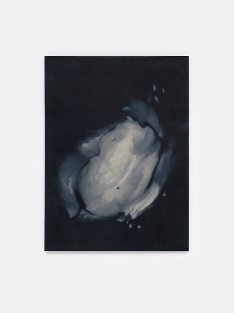 fallen light I, 2026 - Alexandra Karakashian