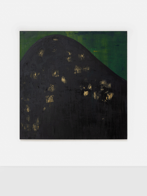 Illumination V, 2025 - Nandipha Mntambo