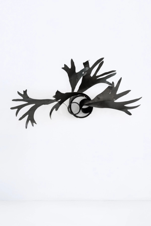 Gregor Jenkin - Astern, 2020