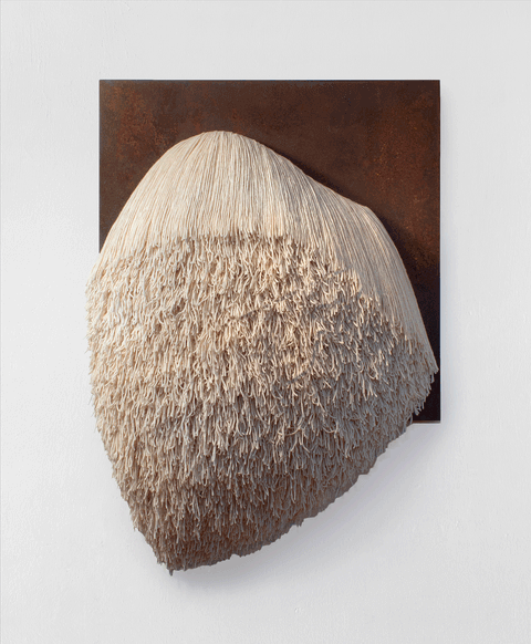 Mountain & Desert Lines, 2026 - Amine El Gotaibi