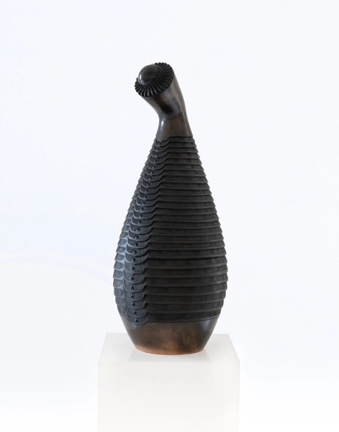 Madoda Fani - iMehlo (The Eye), 2021