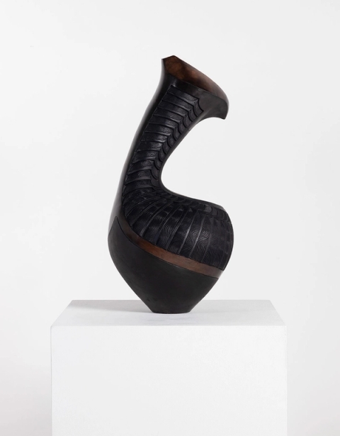 Thozamile (The Modest), 2025 - Madoda Fani