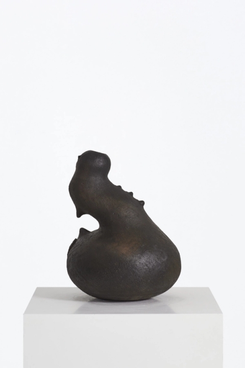 Andile Dyalvane - Umbhompolo (Stalk of The Agave Plant Flower), 2022