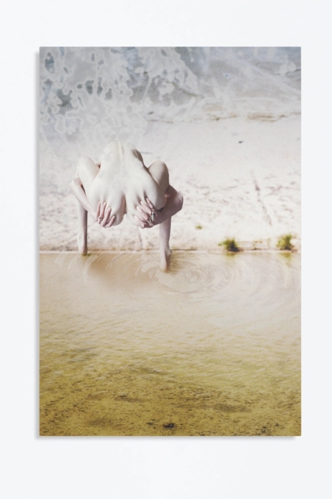 Lezanne Viviers - Neither/Nor, 2021