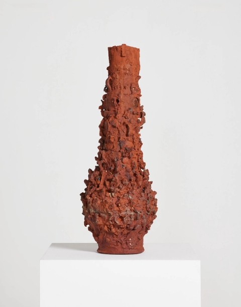 Learning From the Tortoise, 2024 - Belinda Blignaut