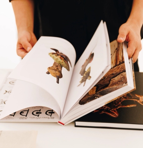 Andile Dyalvane - Almas Art Foundation book