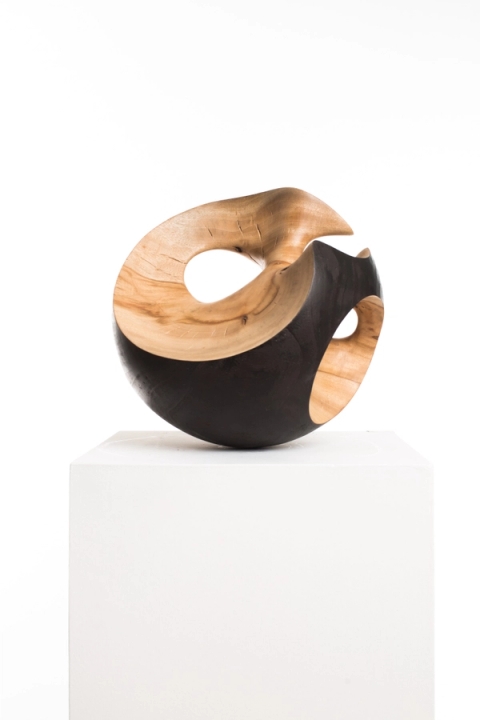 Driaan Claassen - Wooden Sphere.003, 2020
