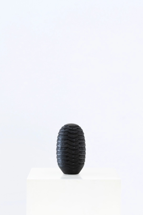 Madoda Fani - iQanda (Egg), 2021