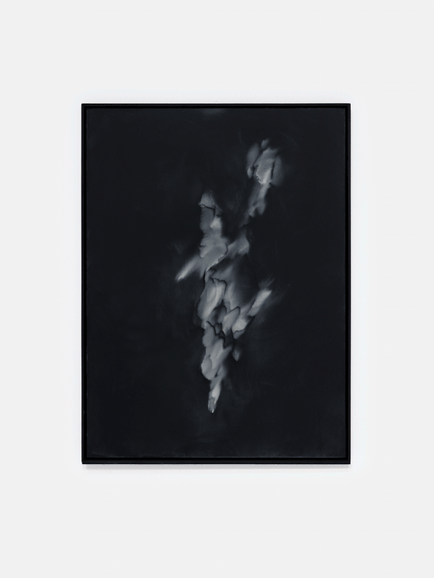 fallen light II, 2026 - Alexandra Karakashian