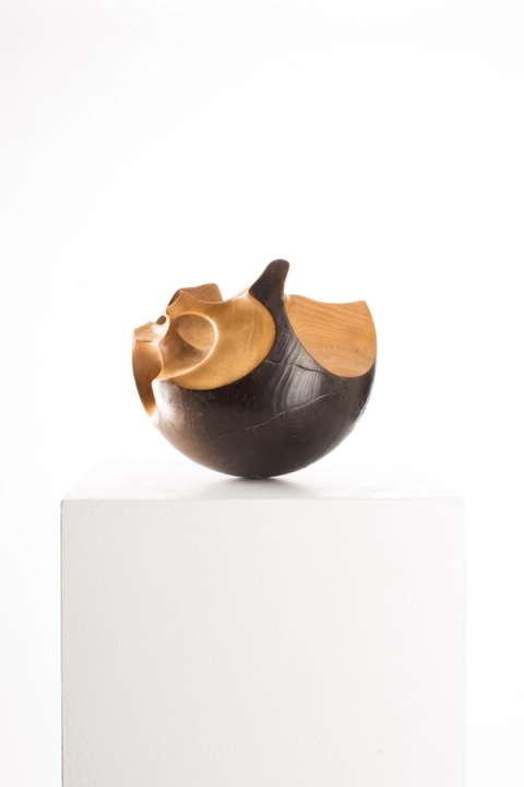 Driaan Claassen - Wooden Sphere.001, 2020