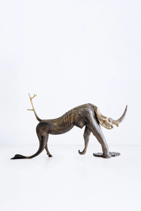 Meyer Von Wielligh - Flora, 2020