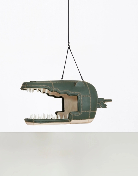 Crocodylus Freddy (Previously Crocodylus Eugenie), 2015