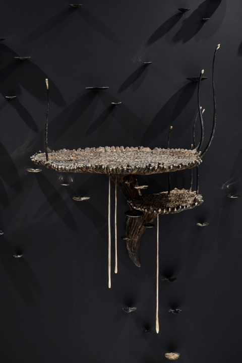 Stanislaw Trzebinski - Polydolichodactyl Muralis (Floating Shelf ), 2019