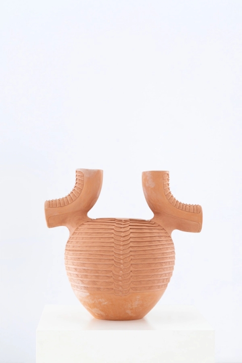 Madoda Fani - Uyadidiyela uNonkala (The Brewing Crab), 2021