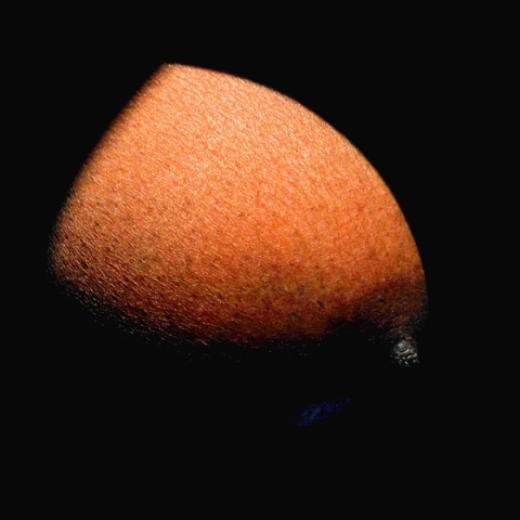 Zanele Muholi - Damsel's Planet, 2005