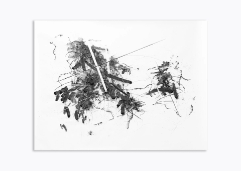 Christine Jacobs - Echoed Plain, 2023